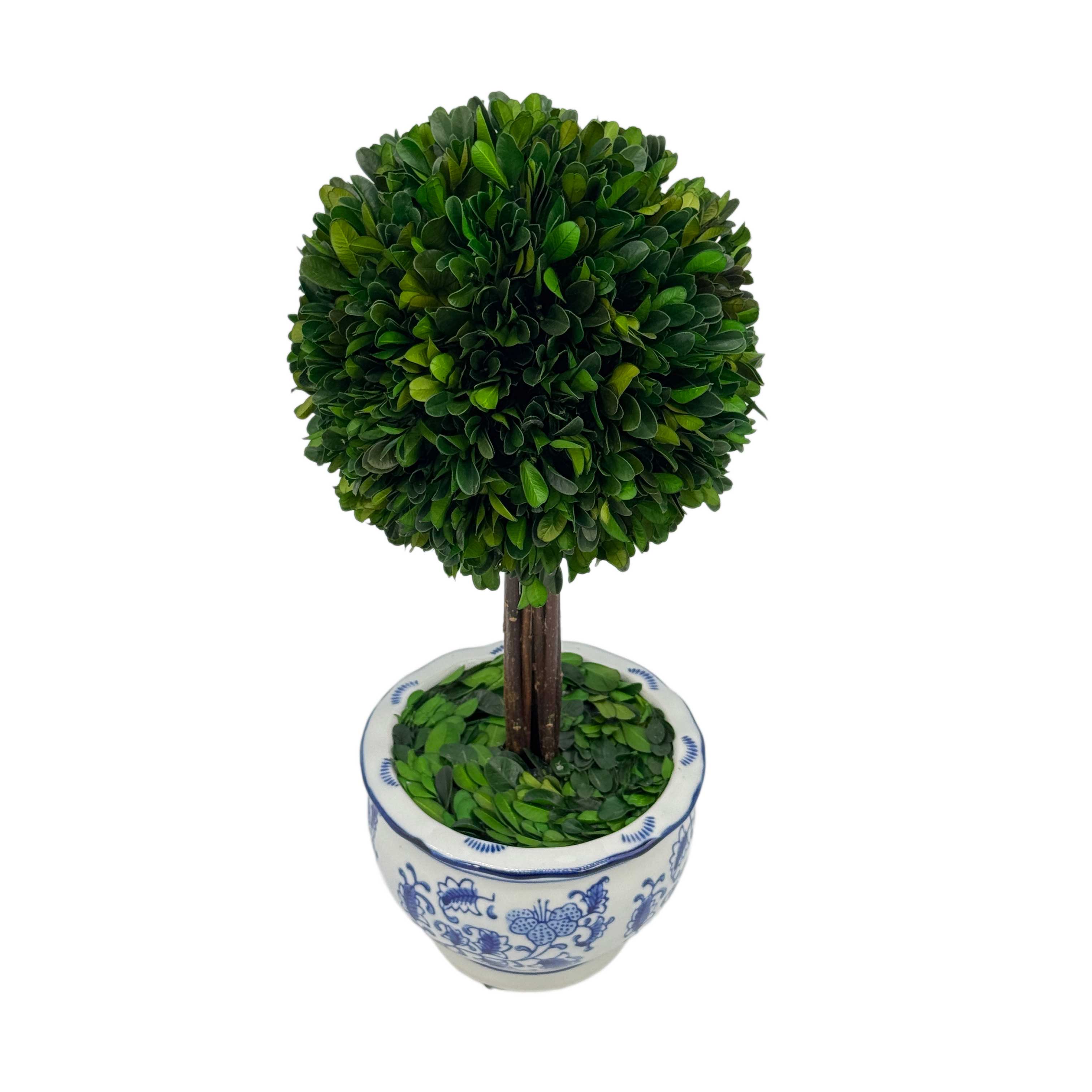 Galt International Company - Vente Plantes artificielles - Arbre topiaire en boule de buis dans un pot rond en céramique bleu et blanc1