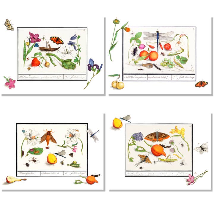 Set of 4 Placemats "Anselmus" 100% Made in Italy for wholesale by The Napking