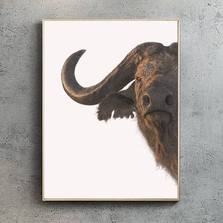 Cape Buffalo - A4 Print (portrait) for wholesale by Hidden Planet