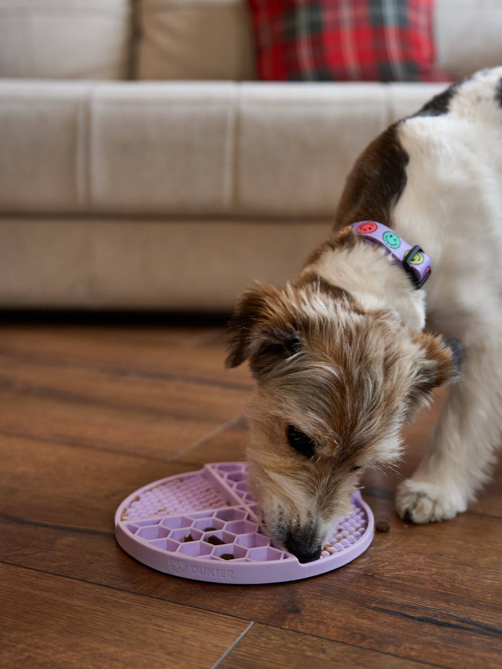 Dukier - Wholesale Pet Food Mat - Dog - PURPLE DOG LICK MAT4