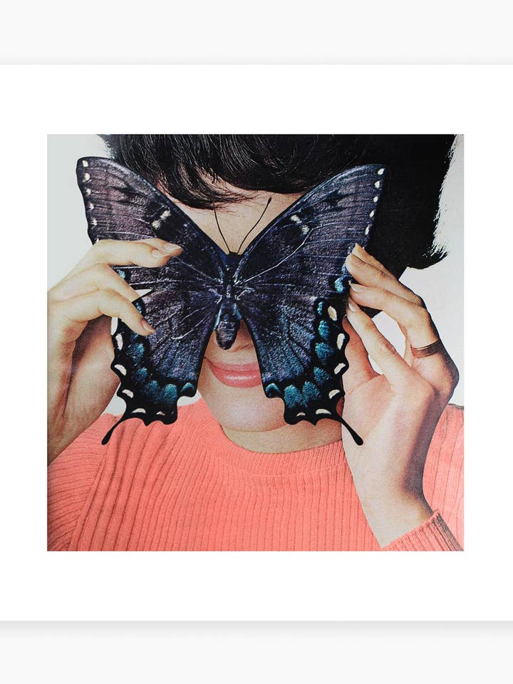 Lámina artística Morpho Butterfly para venta al por mayor de Julia Walck
