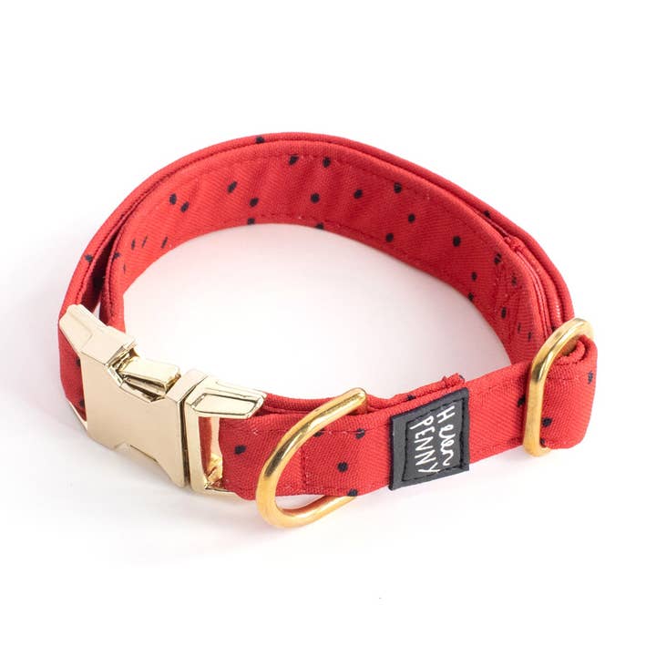Watermelon Dog Collar for wholesale by Helen Penny