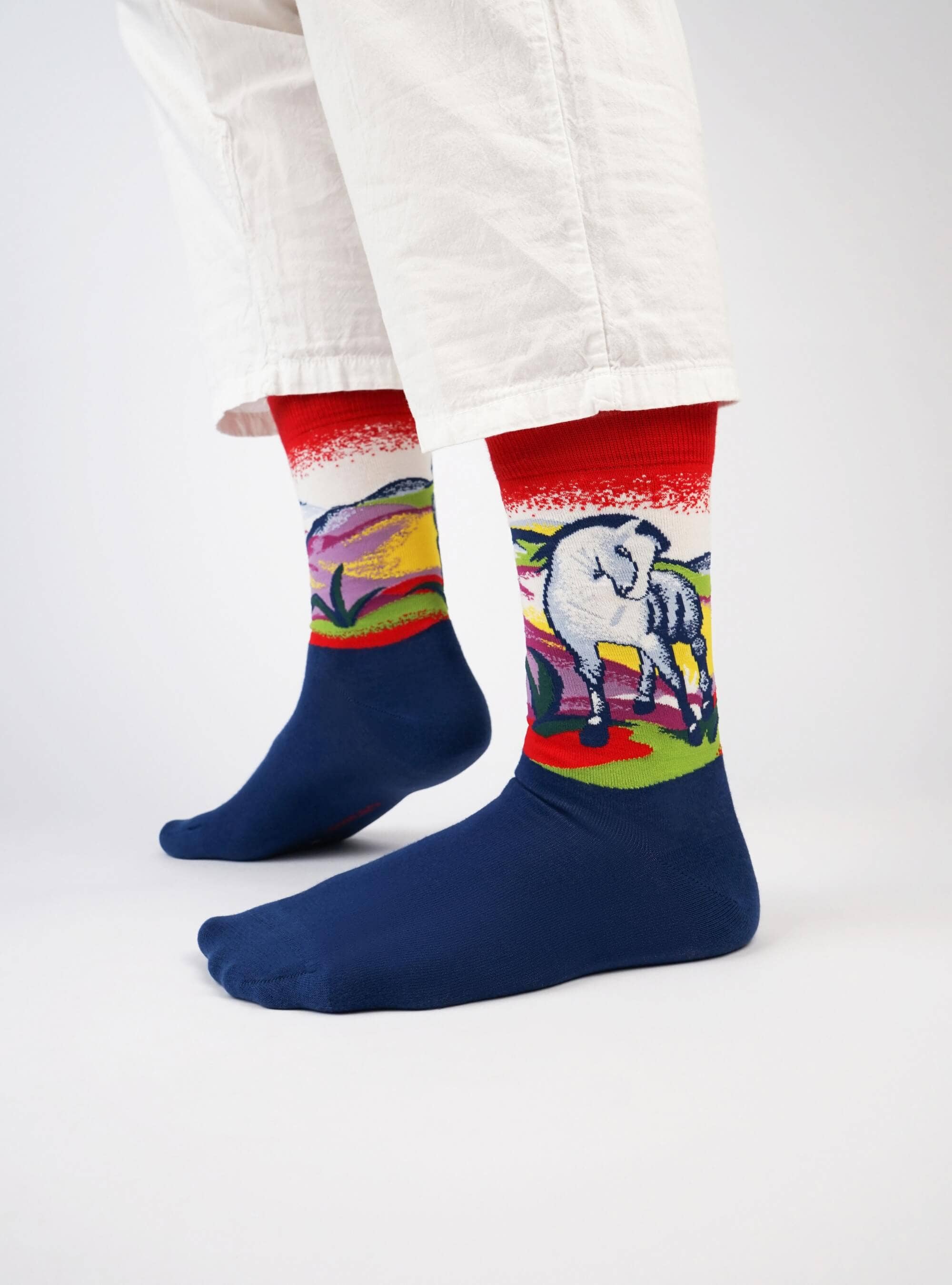 Kunstsokken - Wholesale Sokken - Uniseks - Blue Horse I2