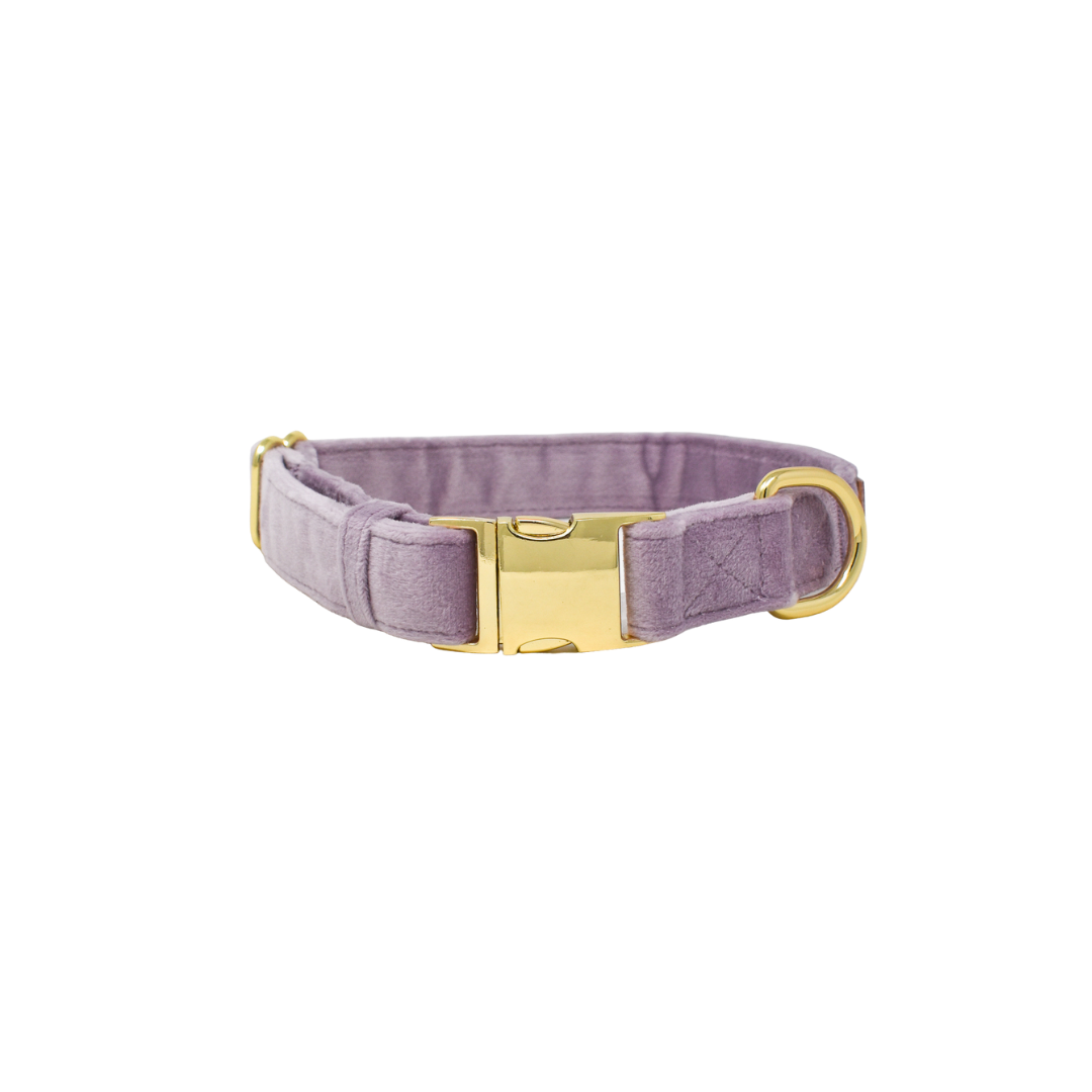 Pink Papyrus | Premium, Durable, & Stylish Dog Products - Wholesale Pet Collar - Dog - Billie Dog Collar | Lilac Dog Collar | Dog Collar1