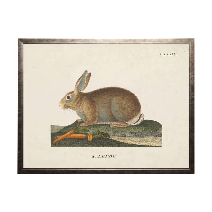 Vintage bunny bookplate E on a distressed background for wholesale by Antique Curiosities Inc