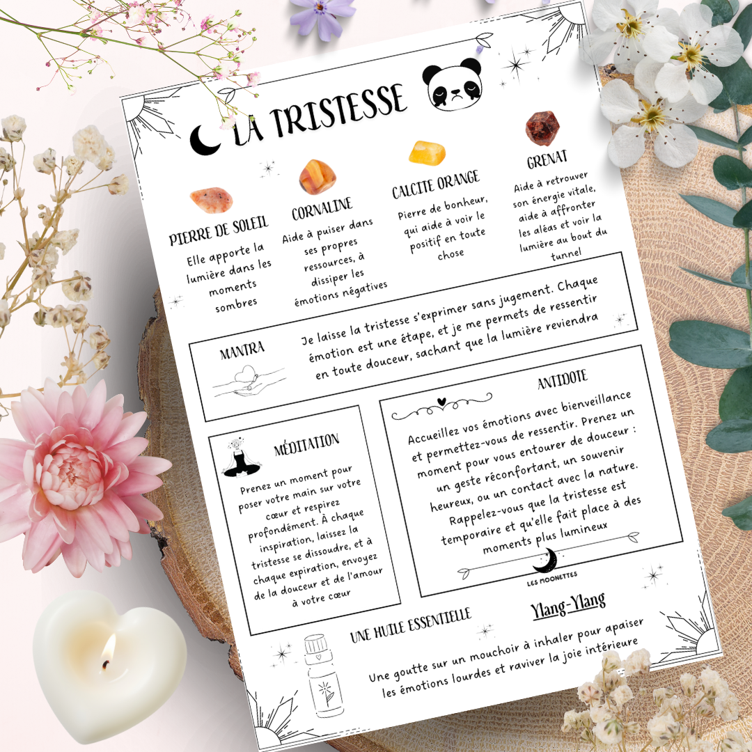 Les Moonettes - Wholesale Stationery/Notecard Set - 12 emotion and lithotherapy cards The Moonettes + pouch4