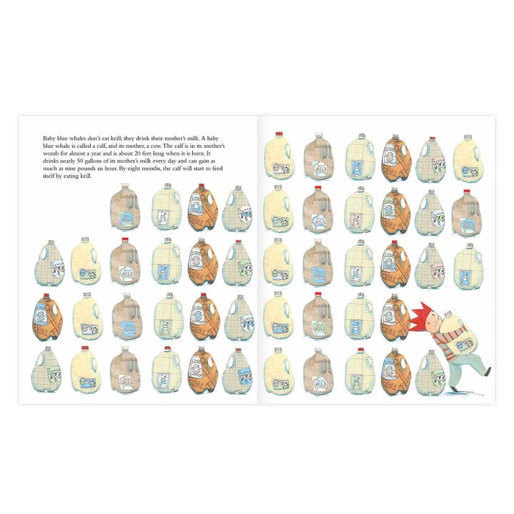 Enchanted Lion Books - Wholesale Book - Kids - The Blue Whale