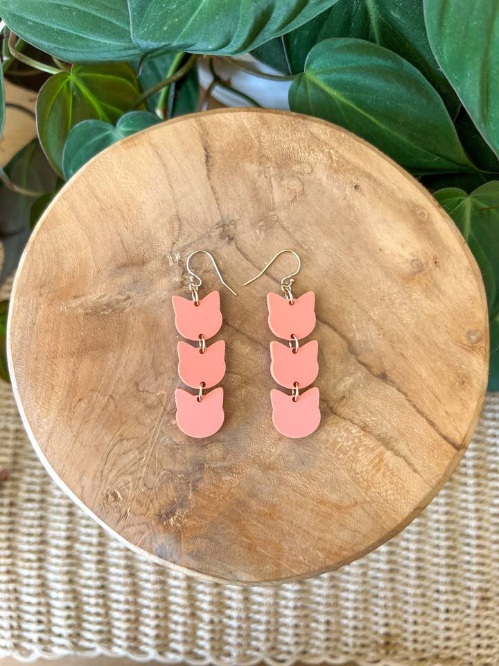 Lindos gatitos para venta al por mayor de Cocoa Loves Grey