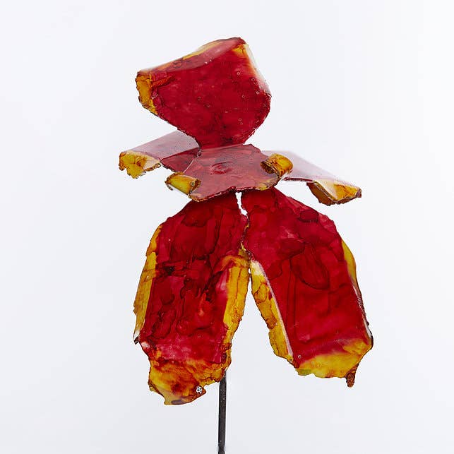 Rode gele orchidee voor wholesale door Bobbianne's Flowers