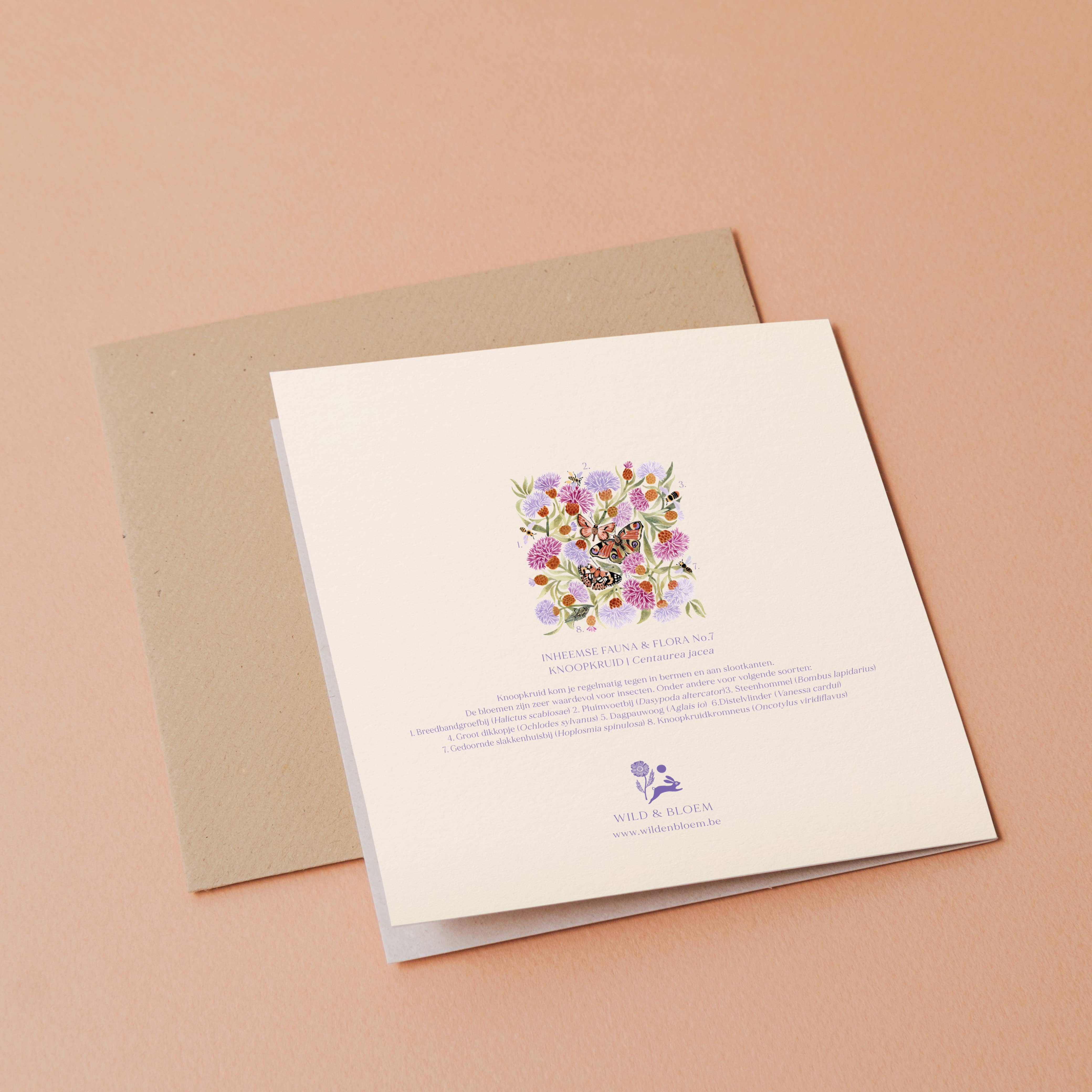 Wild & Bloem - Wholesale Everyday Greeting Card - Greeting card - Knapweed3