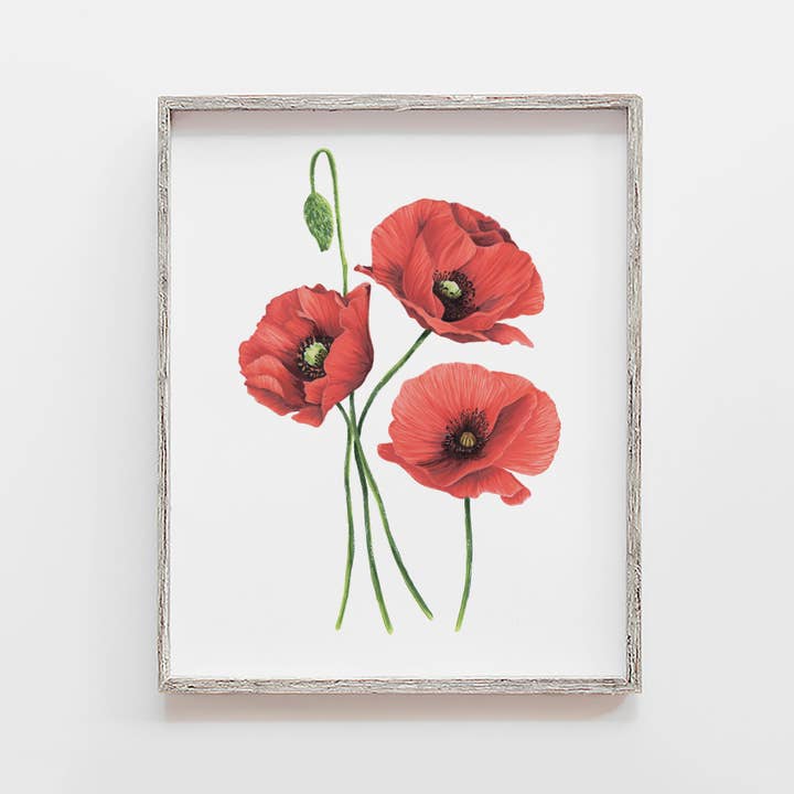 Red Poppies Flower Art Print for wholesale by JesMarried