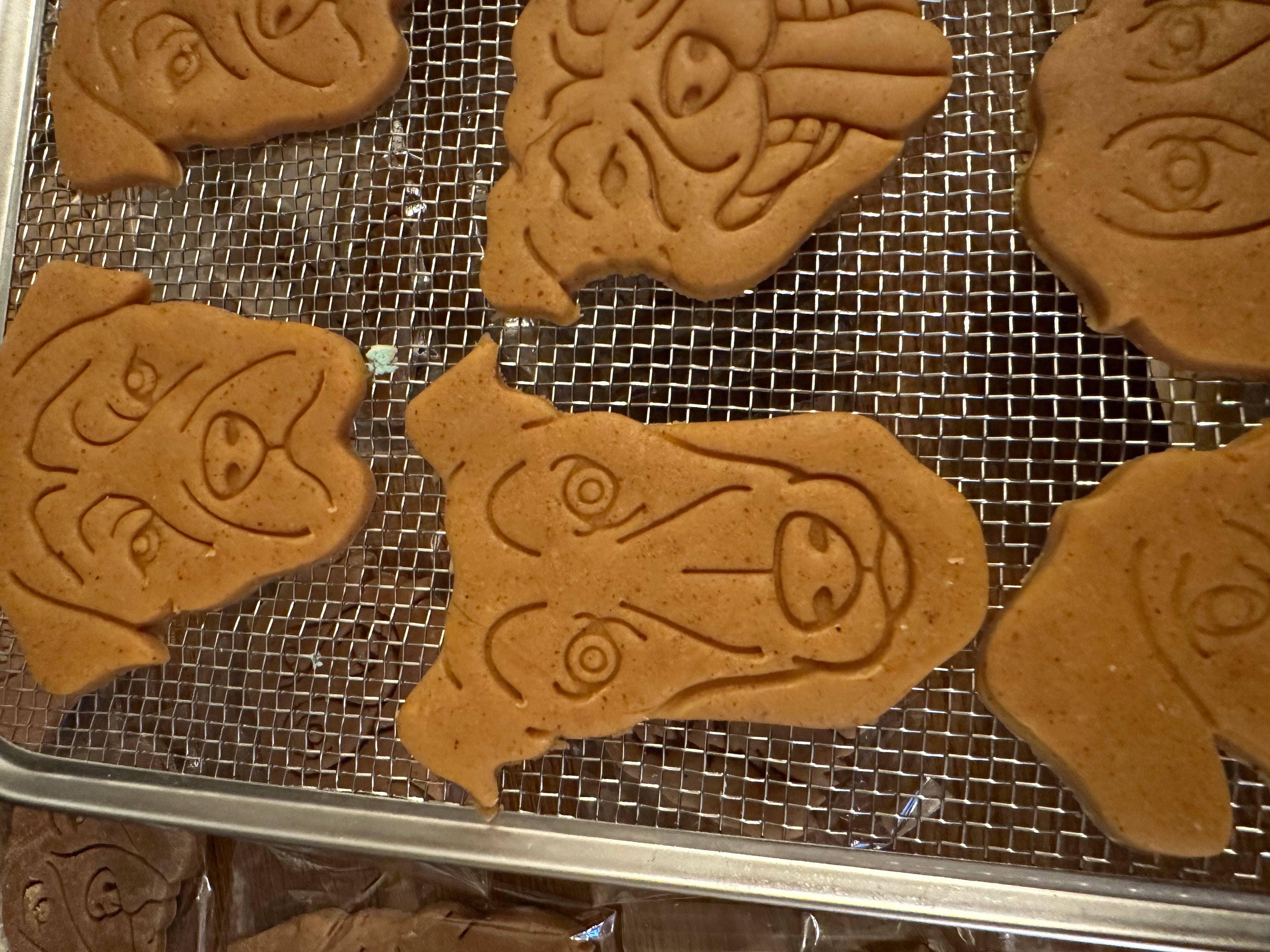 The Dog Shack - Vente Biscuits – chien - Biscuits pour chiens en forme de beurre de cacahuète sans céréales38