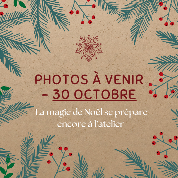 Alcazia – wholesale Novelty candle – Gourmet Candle - Gingerbread1