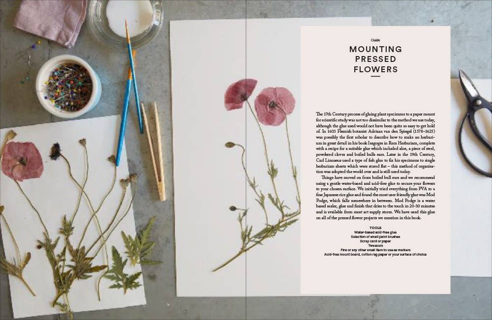 Abrams - Wholesale Crafts, Hobbies & DIY - The Modern Flower Press2