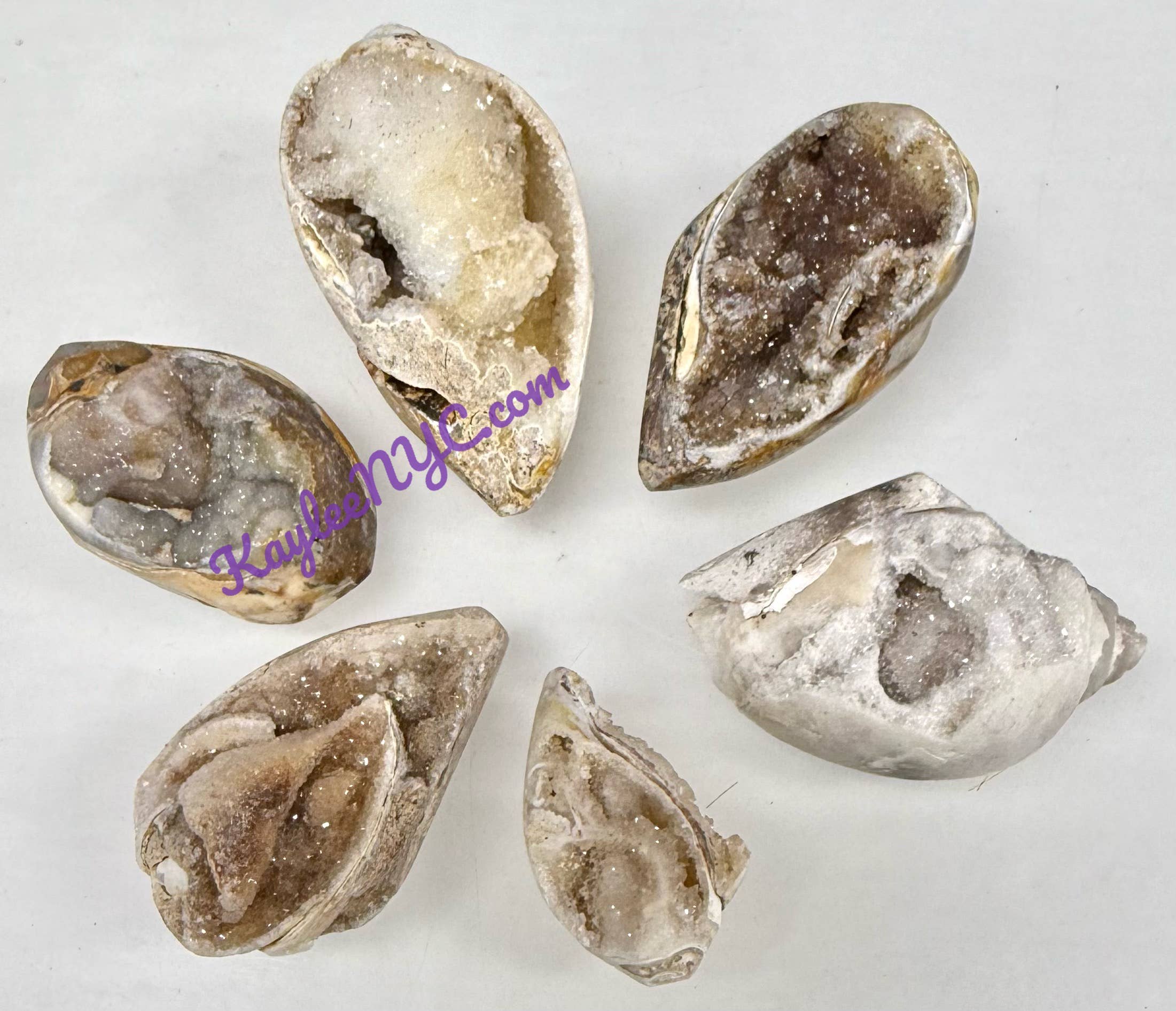 KayleeNYC - Wholesale Spiritual Stone/Crystal - Natural Spiralite Fossil Sea Shell