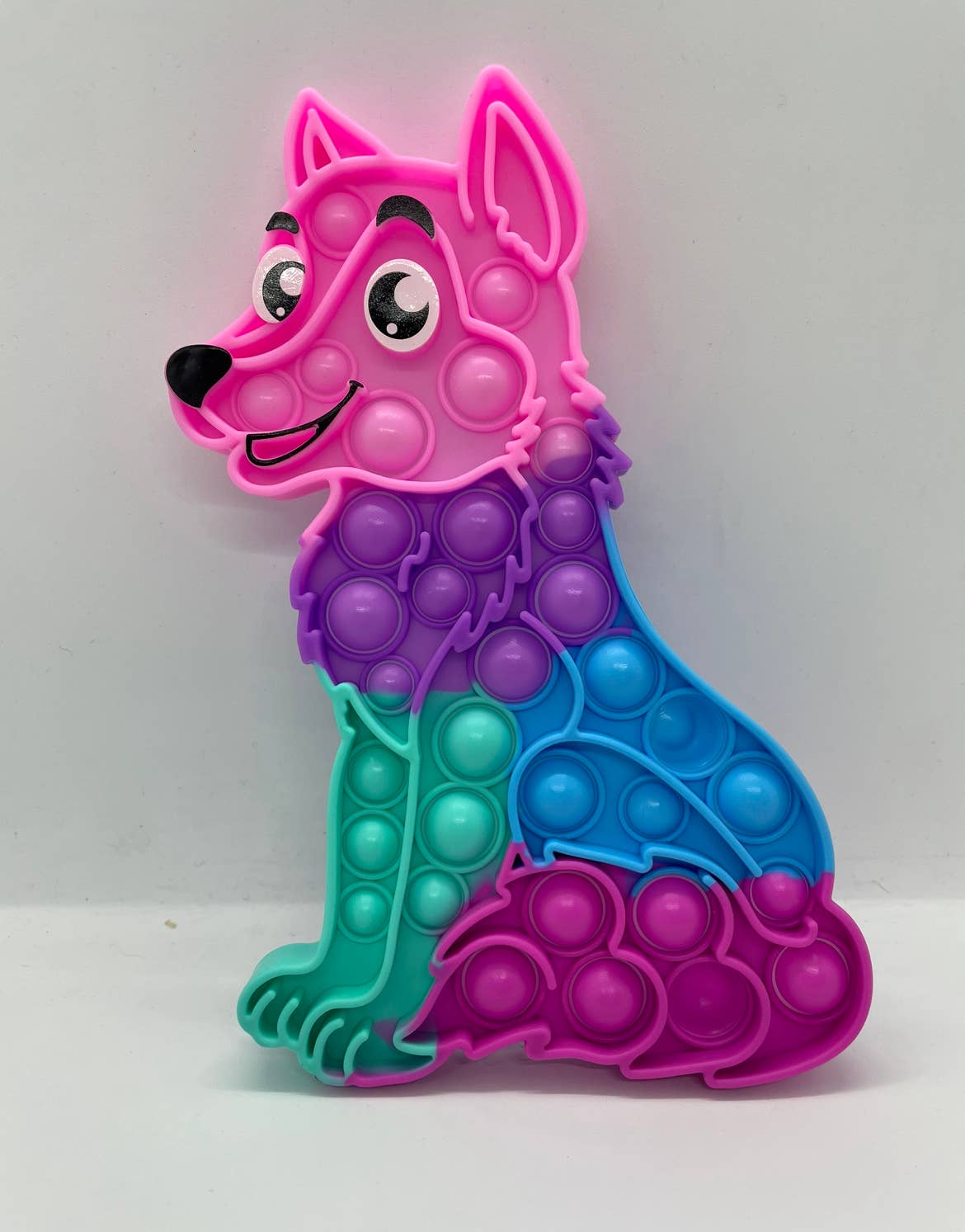 AlexisandGreenberg - Wholesale Fidget Toy - Kids - A & G Assorted Multi Color Push Pop Bubble Pop Fidget Toys11