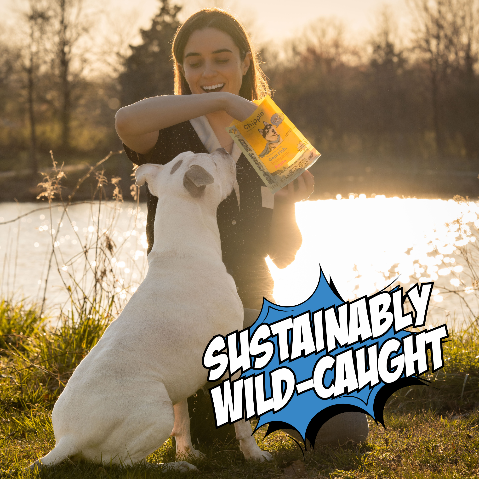 Chippin - Wholesale Pet Treats - Dog - Wild-Caught Fish Pumpkin Apple Soft Jerky Dog Treats3