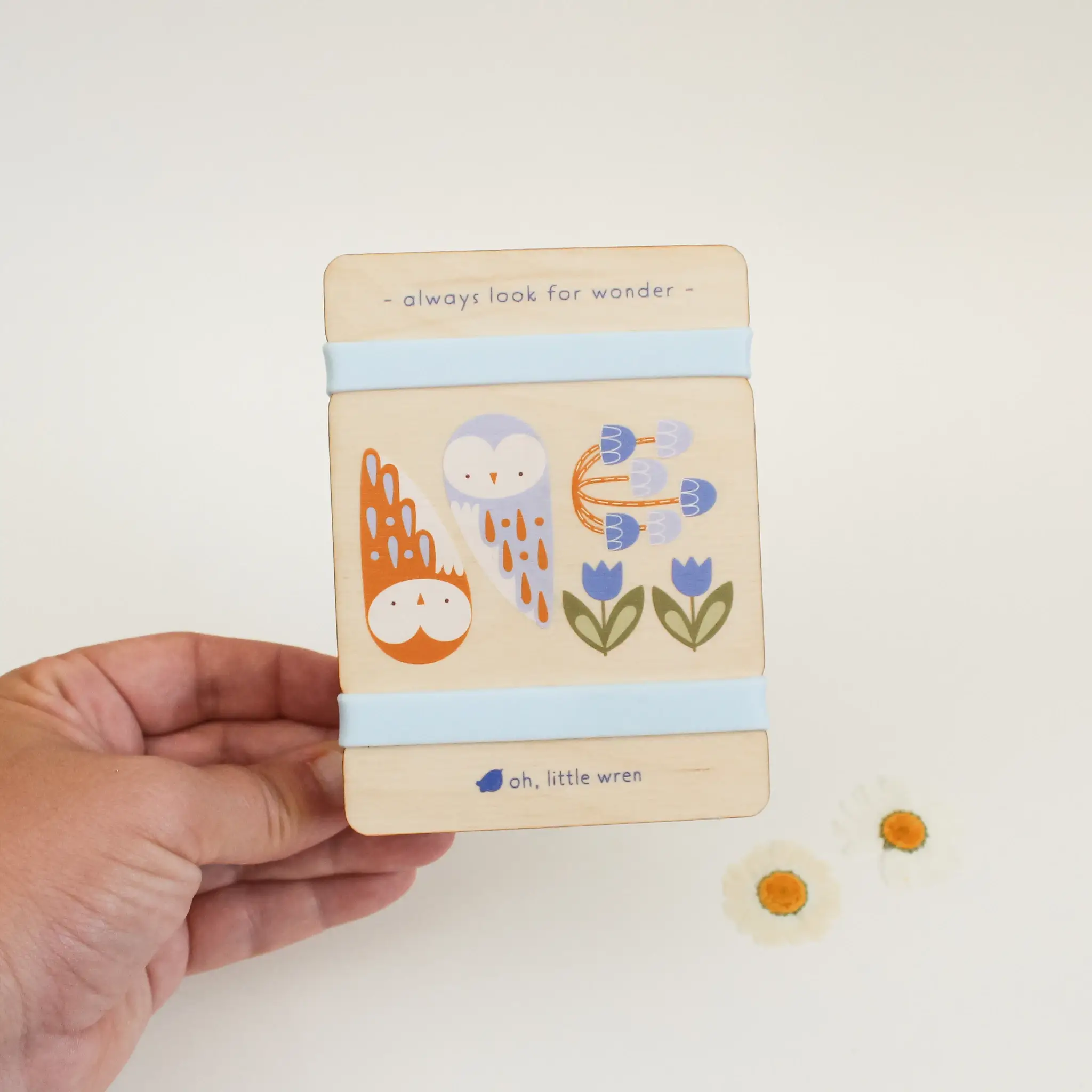 oh, little wren - Wholesale DIY Craft Kit - Kids - Little Nature Press - Mini Wooden Flower Press - Owl Design2