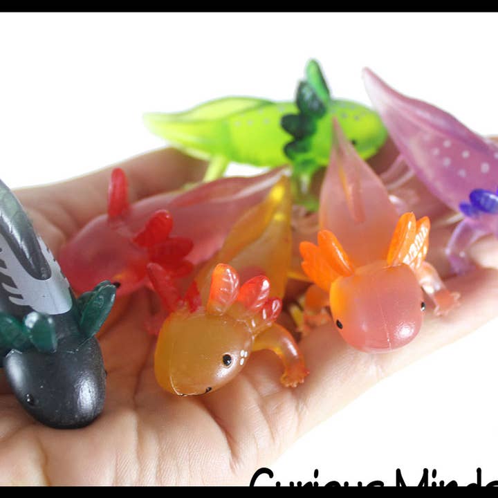 Curious Minds Toys - Wholesale Fidget Toy - Kids - 12 Realistic 2.5" Colorful Tiny Axolotls Figurines -Mini Toy