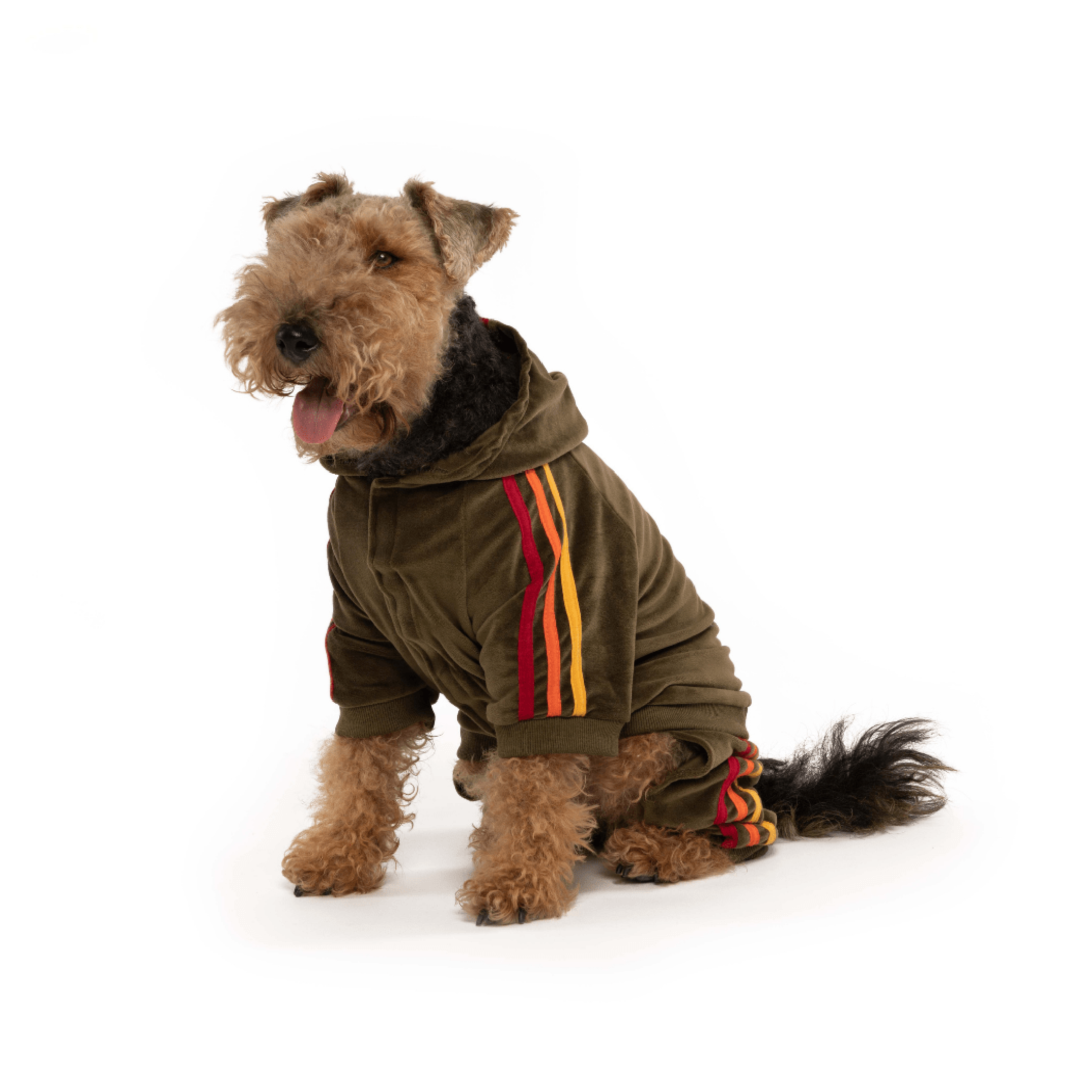 fabdog - Wholesale Pet Hoodie - Dog - Olive Velour Jogger2
