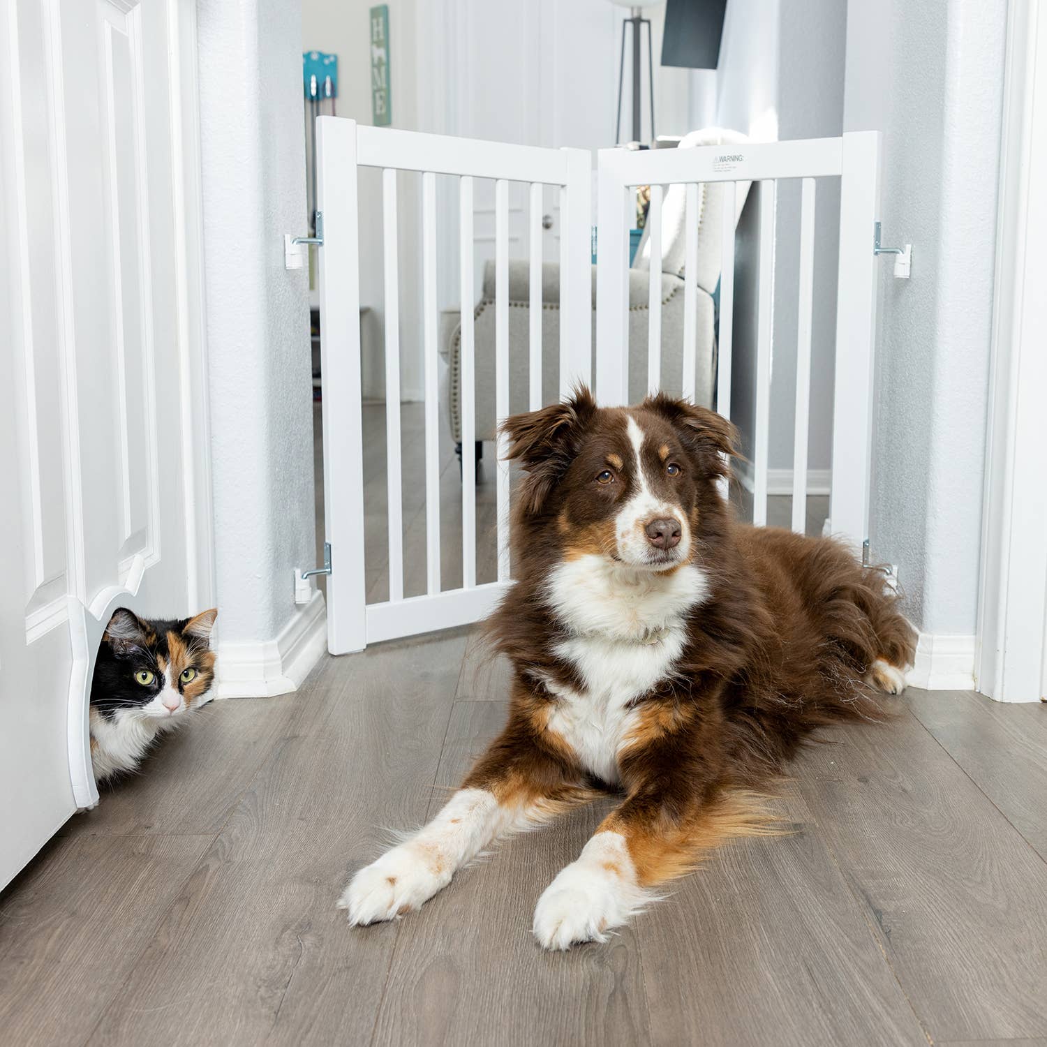 Primetime Petz - Vente Barrière portative pliable – chien - Kit de quincaillerie pour barrières murales autoportantes en bois pour animaux de compagnie4