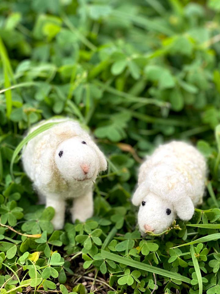 Paire de moutons pour la vente par Adopta un hada