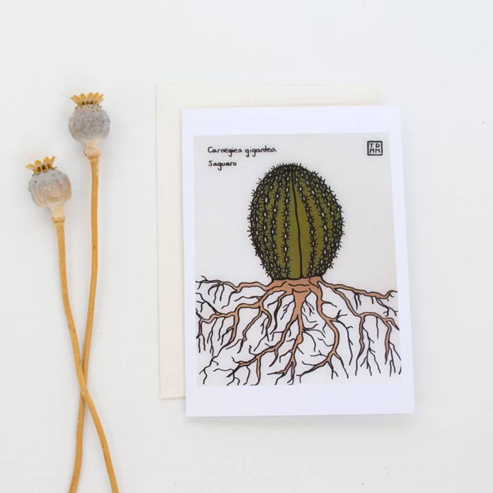 Baby Saguaro Greeting Card for wholesale by Sonoran Witch Boy