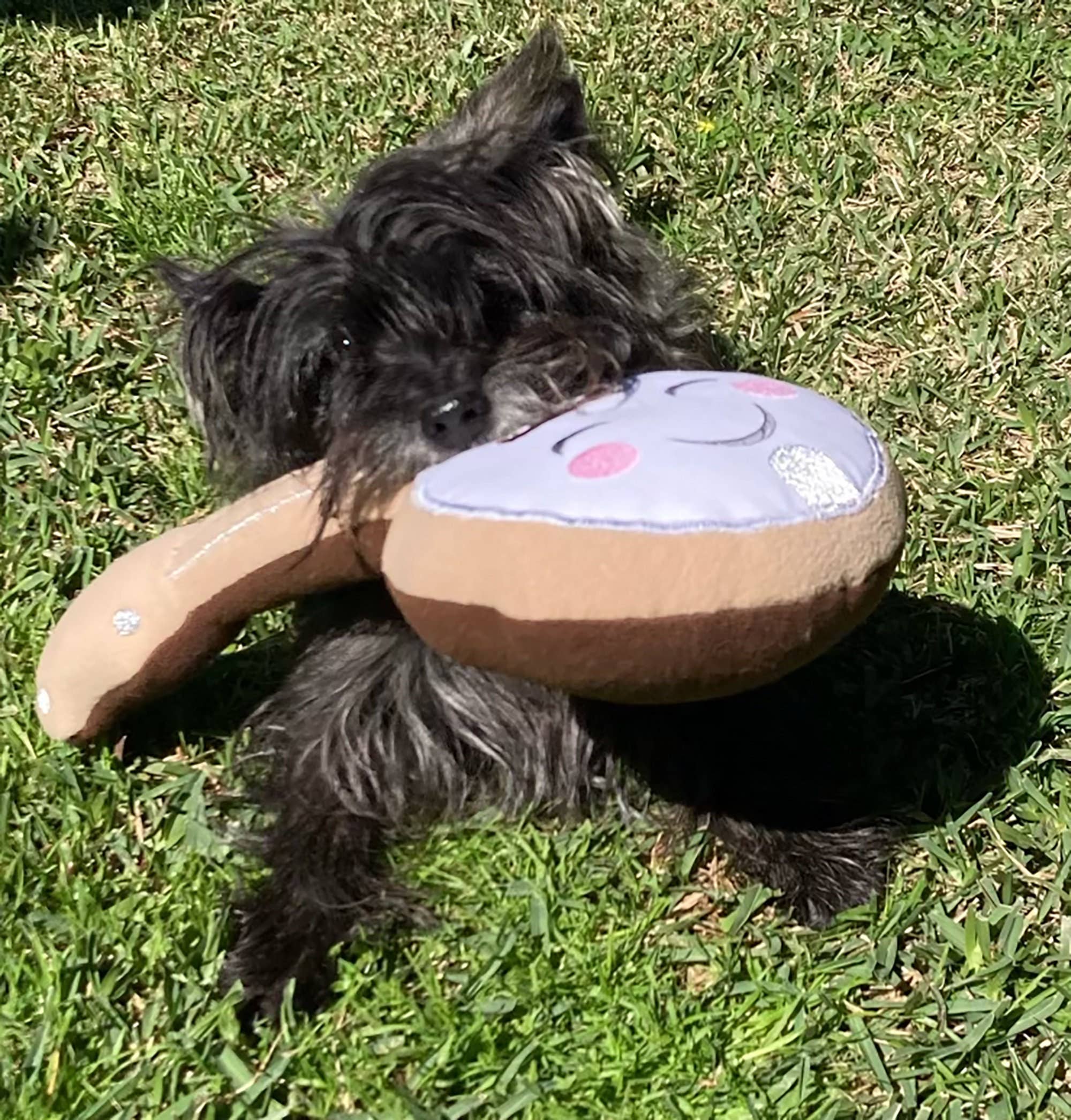 Screaming Pickles - Wholesale Pet Plush Toy - Dog - Handmade Pet Toys - Banjo Plush Toy for Dogs or Cats5