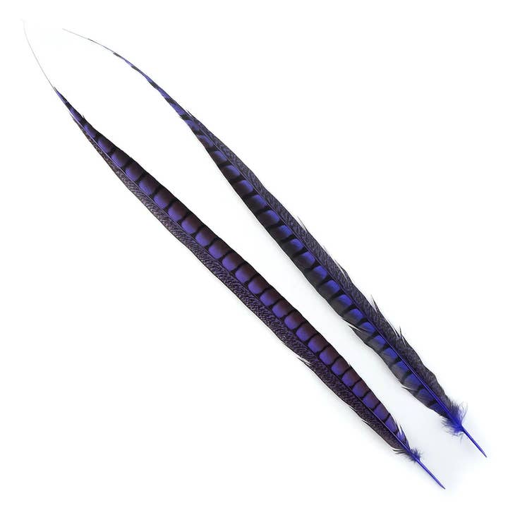 Zucker Feather Products – Großhandel Federn – Lady Amherst Fasanenschwänze, gefärbt, 1 Stück pro Packung, Fliederfarben2