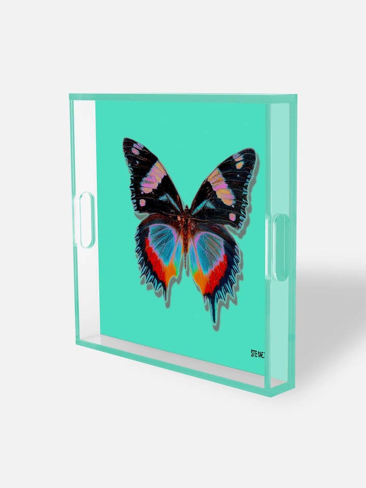 Aqua Monarch Acrylic Tray for wholesale by David Stesner ArtHouse
