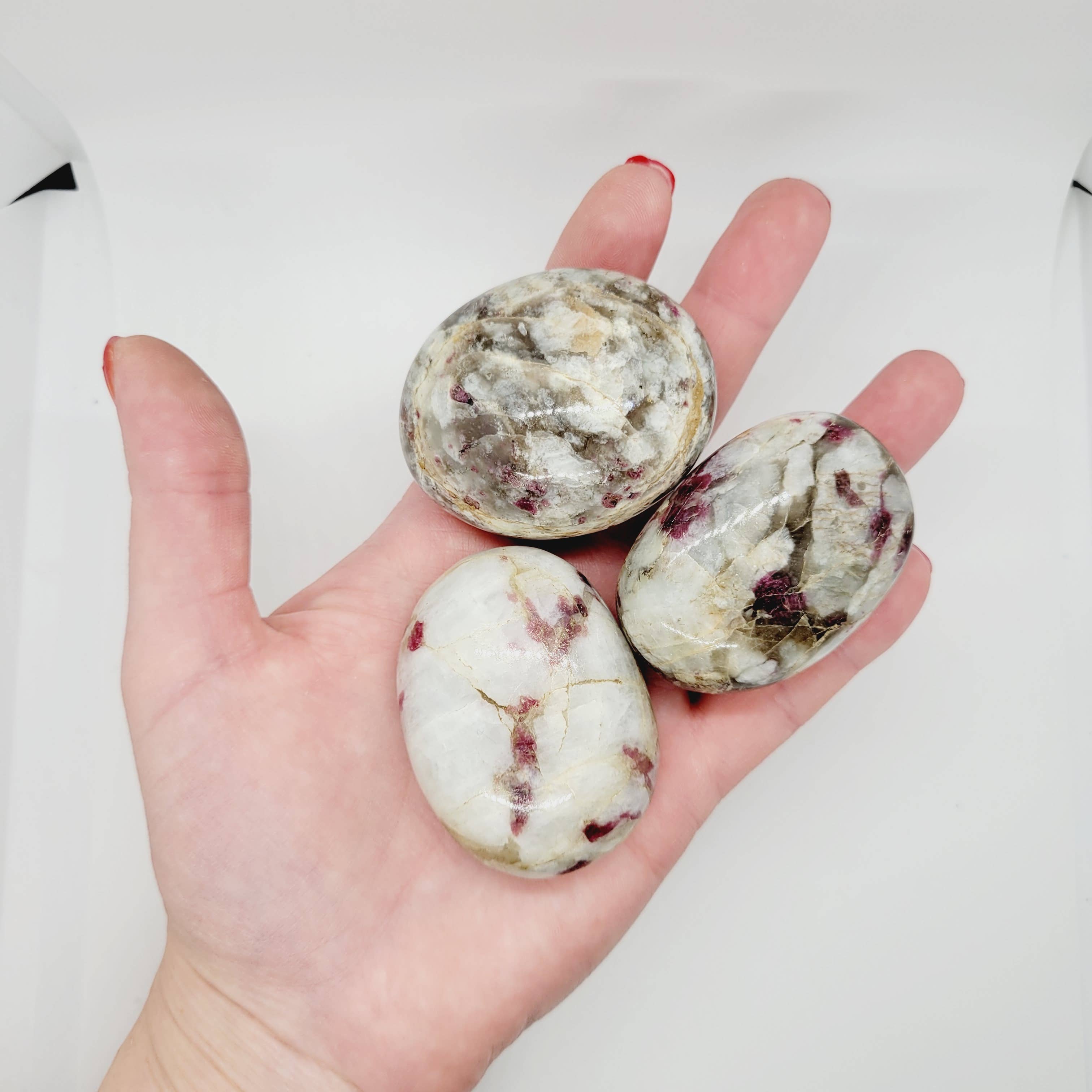 The Raven's Edge - Vendita all'ingrosso Pietra/cristallo spirituale - Pietra di palma tormalina rubellite Madagascar8