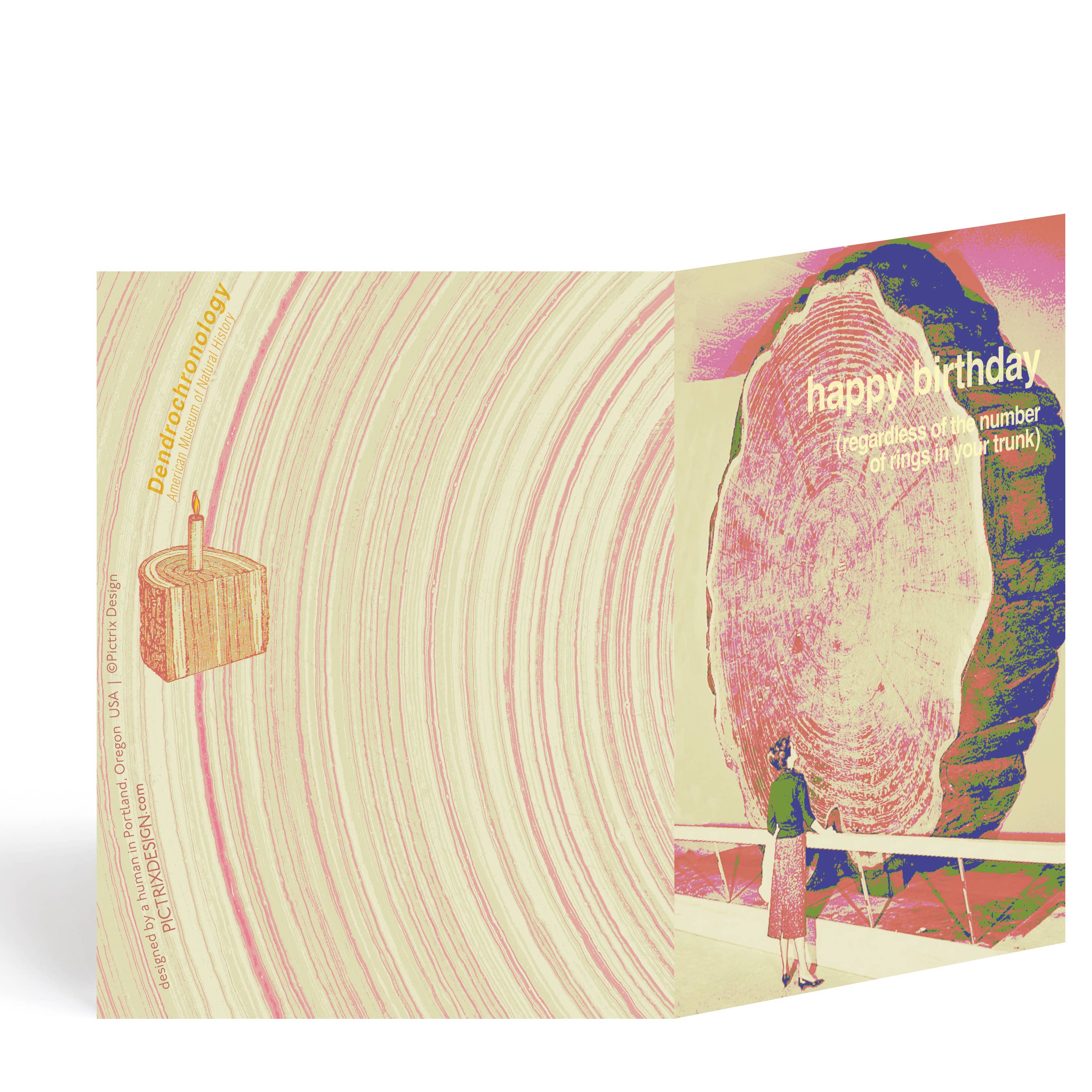 Pictrix Design - Wholesale Thank You Card - "Dendrochronology" A2 birthday card (woman)2