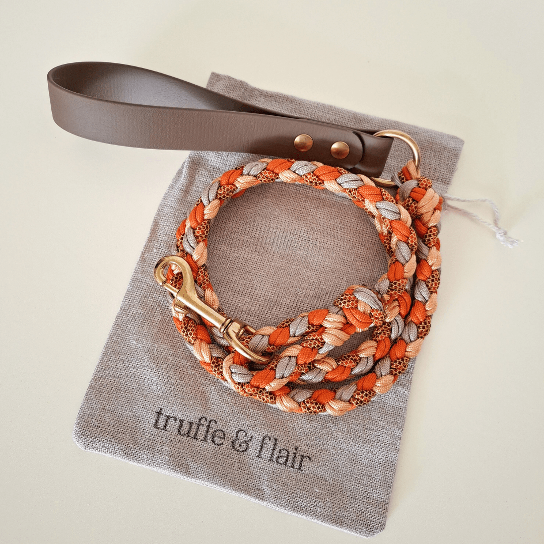 Truffe & Flair - Wholesale Pet Leash - Dog - Braided dog leash - Biothane/Paracord - Orange5