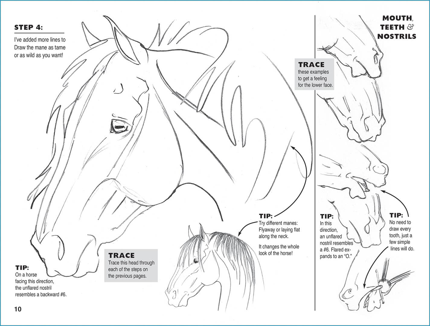 Horse Hollow Press / Pretty, Funny, Snarky Cards & Stickers - Wholesale Coloring & Activity Book - Adult - Art Book Horse Equestrian / Anyone Can Draw Horses / All Age21