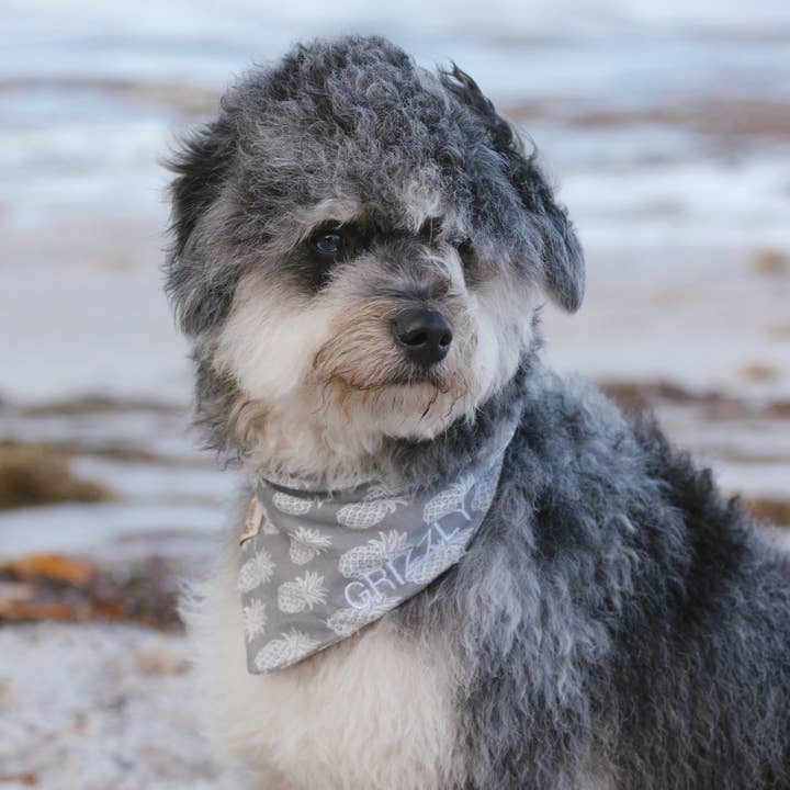 Key West Pineapples Dog Bandana and other Purchase Wholesale west paw. Free Returns & Net 60 Terms on Faire trending on Faire.