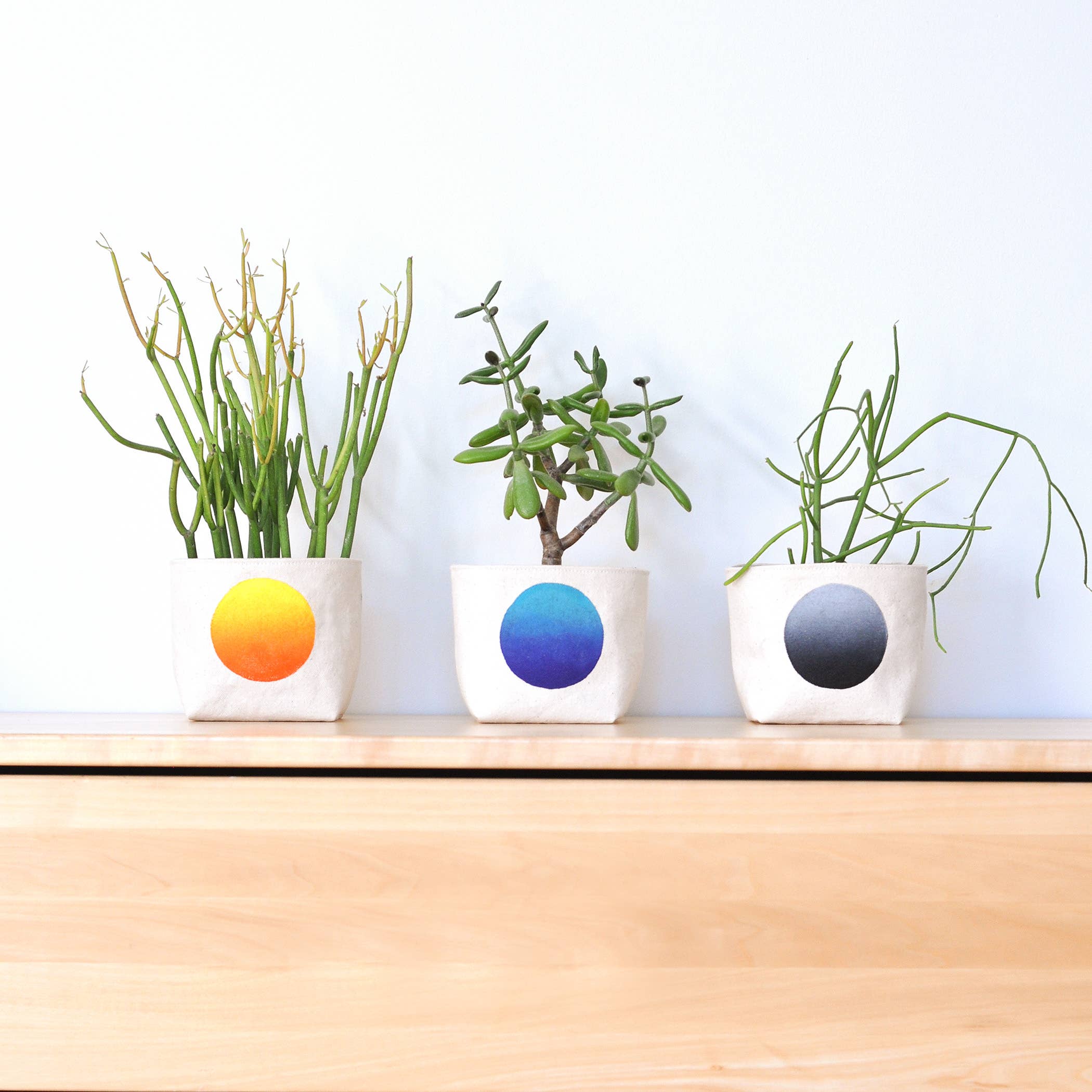 Gray Green Goods - Wholesale Plant Pot - Ombre circle blockprint canvas planter—4"7