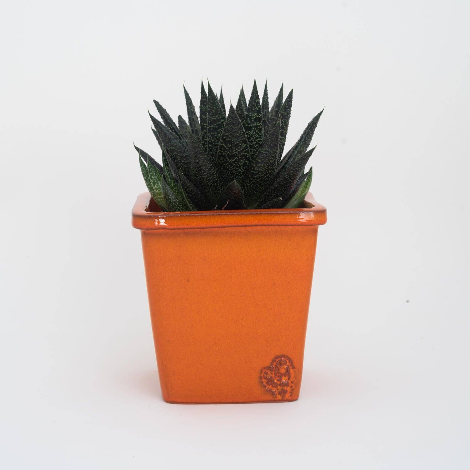 Vasos Quadrados by EM – Engroshandel Plantekrukke – Medium firkantet vase 14x14 cm - blank24