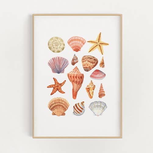 watercolor seashells illustration - wall art print - ocean seaside nautical for wholesale by Stephanie Missan Studio