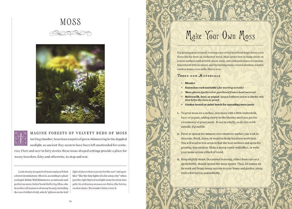 HarperCollins - Wholesale Teen & Young Adult Book - Faerie Handbook, The: The Editors of Faerie Magazine4