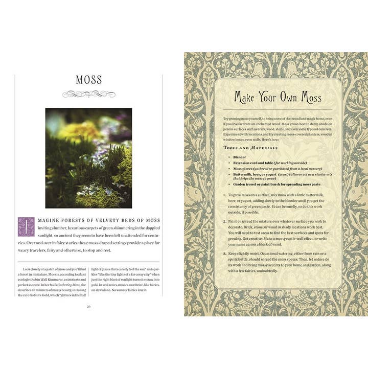 HarperCollins - Wholesale Teen & Young Adult Book - Faerie Handbook, The: The Editors of Faerie Magazine4