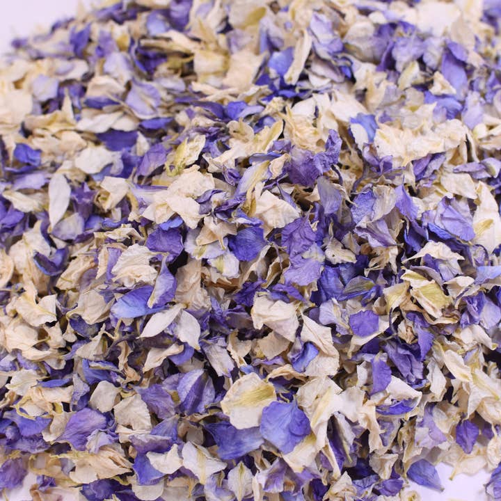 LSF Wholesale – wholesale Confetti – Will You Be My Page Boy Flower Confetti Pop9