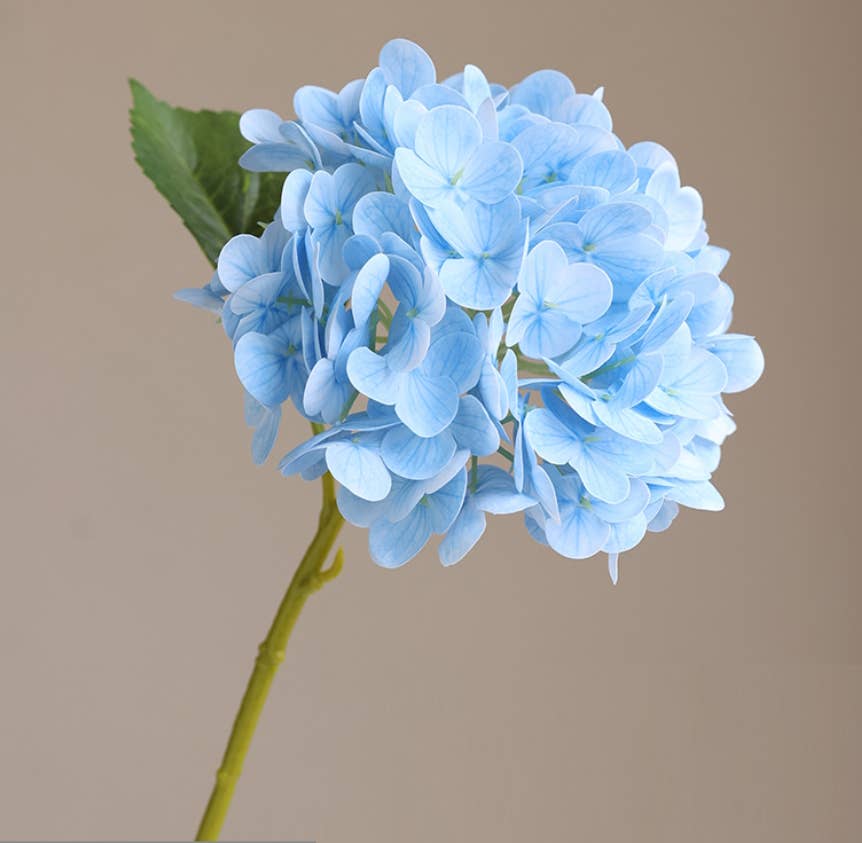 Angel Isabella - Wholesale Artificial Flowers - 12.5"Real Touch lifelike Hydrangea-6”bloom4