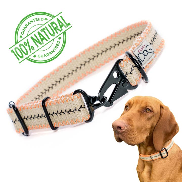 FUNKY DOG – wholesale Halsband - Hund – Hampahundhalsband Miljövänligt, Hållbart, Andningsbart