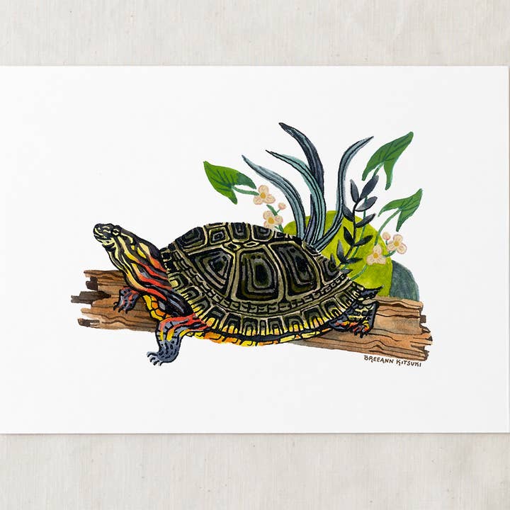 Painted Turtle Art Print for wholesale by Wildship Studio