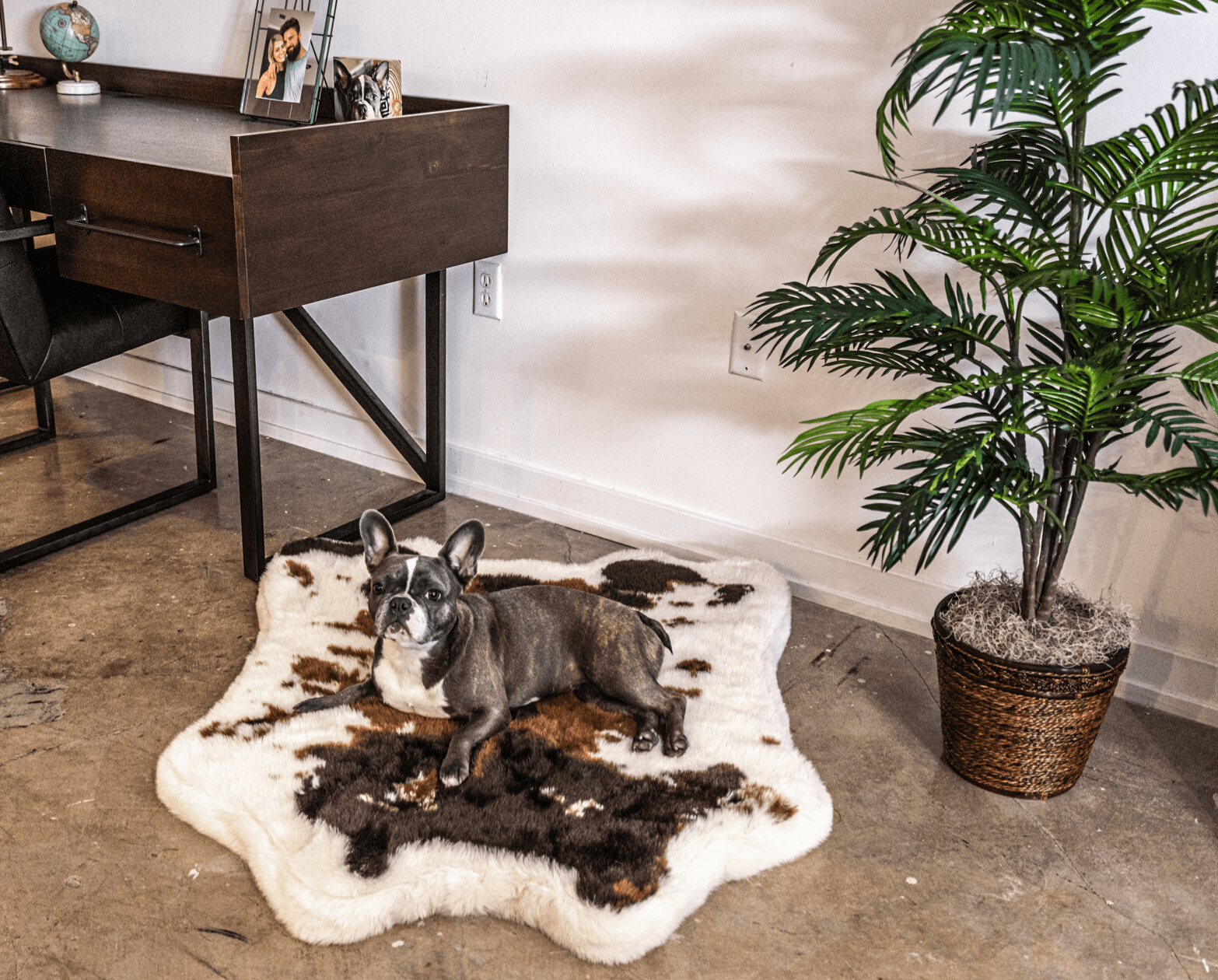 Paw Brands - Wholesale Pet Bed - Dog - PupRug™ Animal Print Memory Foam Dog Bed - Brown Faux Cowhide8