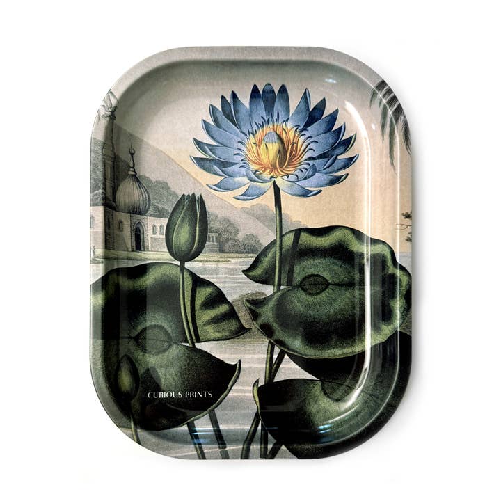 Small Metal Blue Lotus Water Lily Trinket Tray for wholesale by Curious Prints