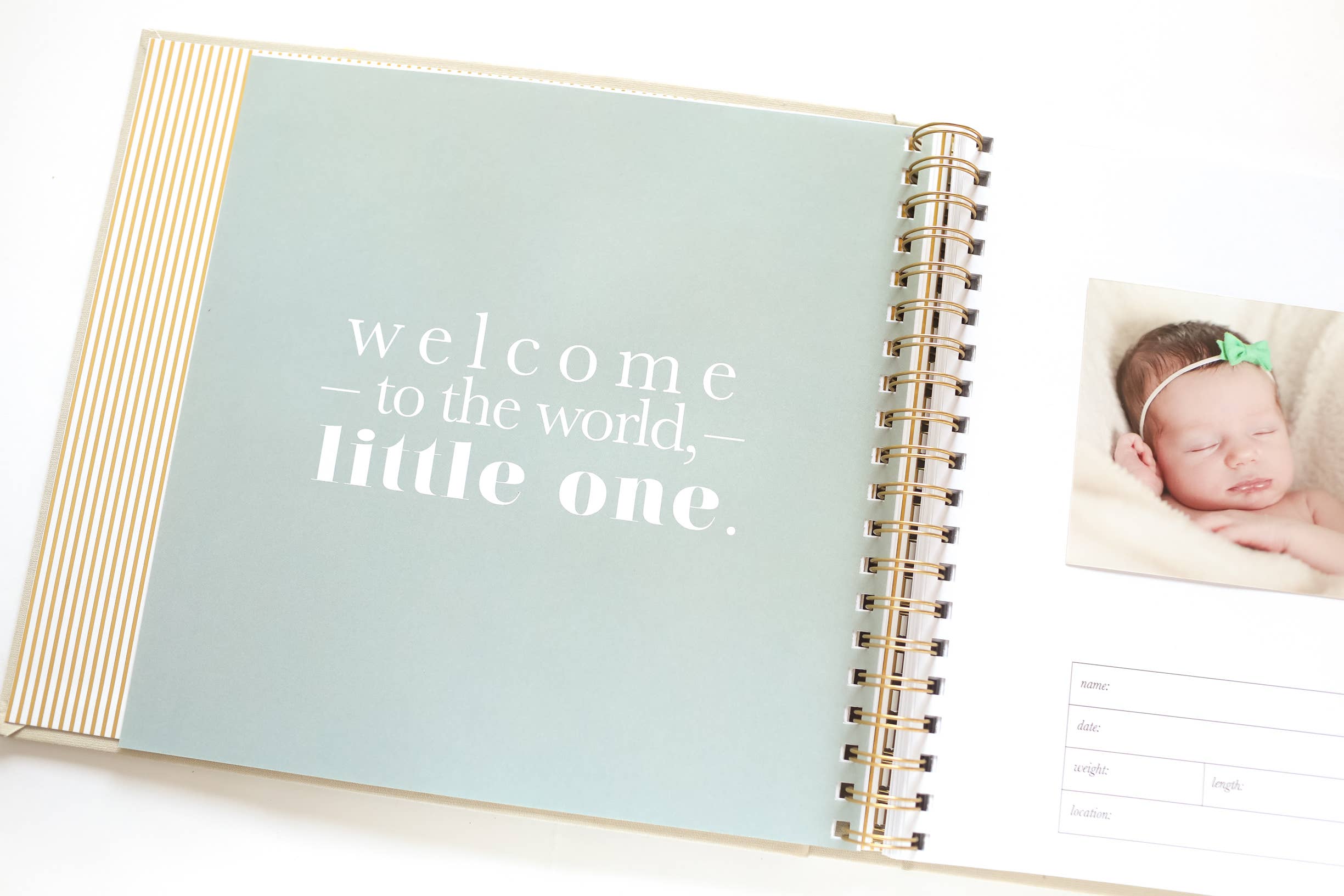 Paper Peony Press - Wholesale Memory Book - Kids & Baby - The Baby Memory Book5