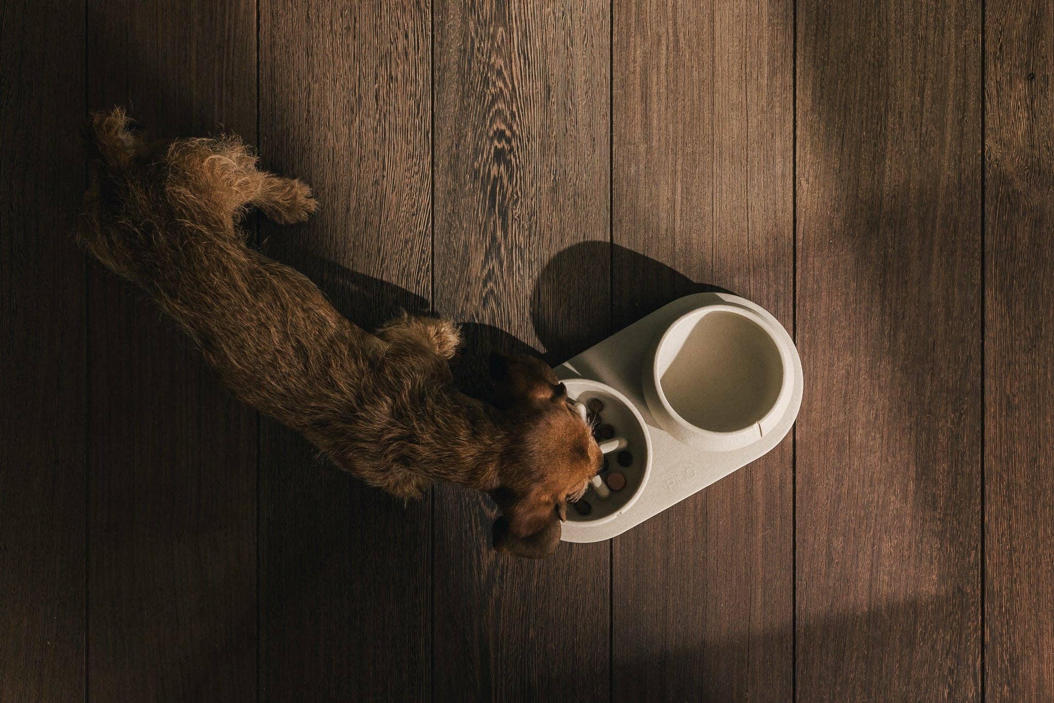 PINO - Wholesale Pet Bowl - Dog - Slow Feeder Bowl12