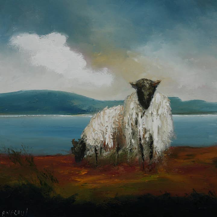 Ovejas salvajes de Achill para venta al por mayor de Padraig McCaul Images