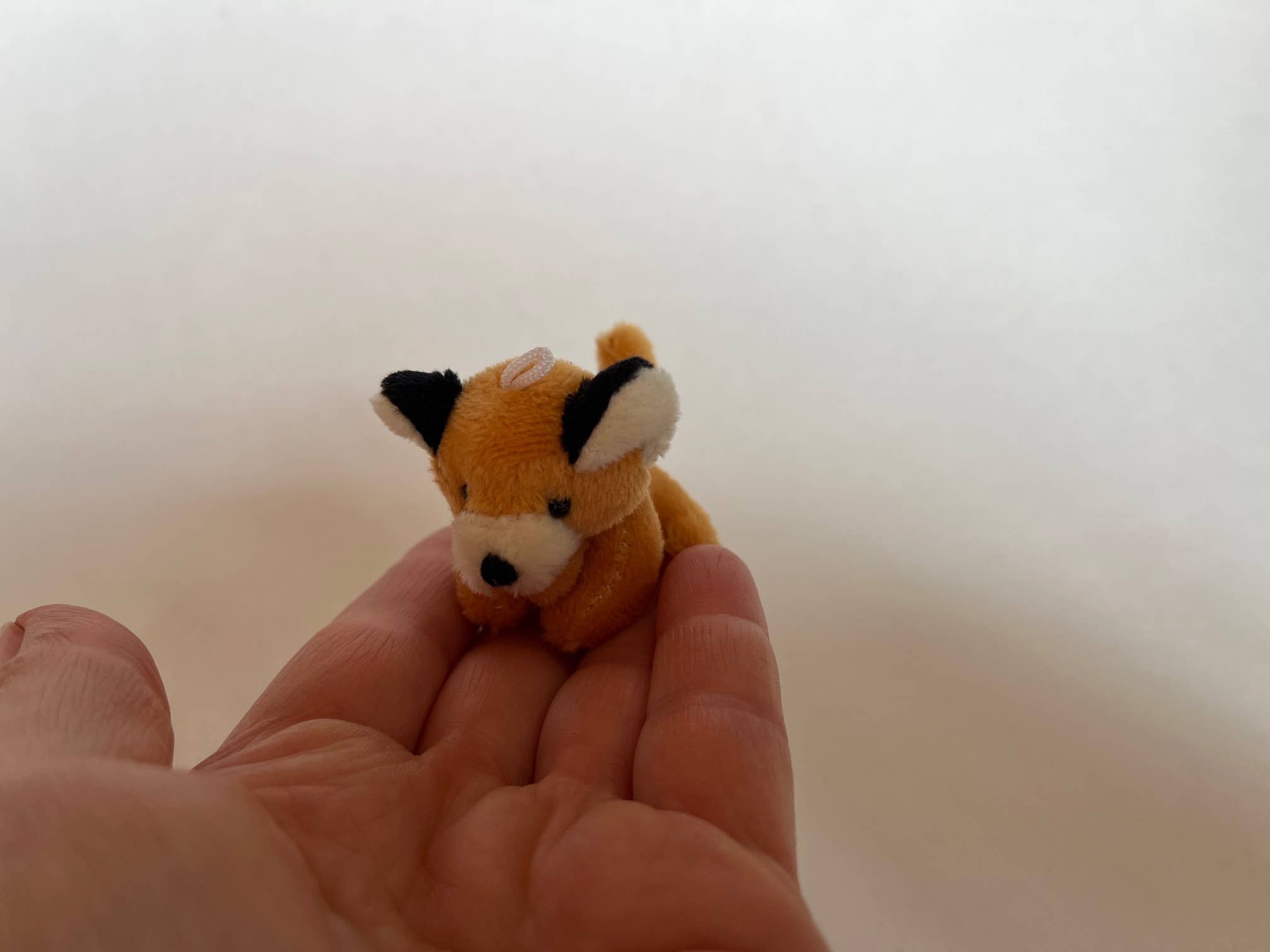 The Gifted Rat – wholesale Stuffed/plush toy – Kids & baby – Small Plush Fox Stuffed Animal 6
